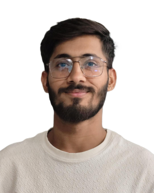 Nitin Kumar Vasdhani, Lead Backend Developer